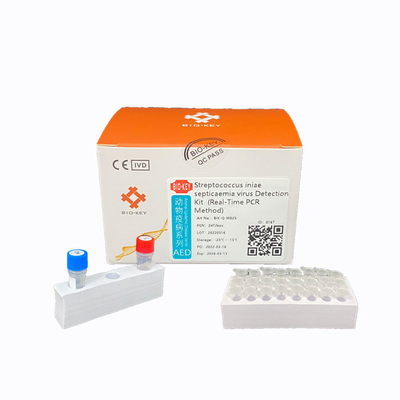 Estreptococo fluorescente jogo da ponta de prova da cultura aquática do PCR de Kit Ct 38 do teste