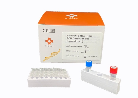 Ensaio da ponta de prova de Taqman do vírus do PCR Kit Dectect High Risk Genotyping HPV do tempo real HPV