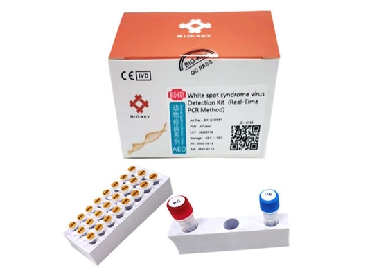 Vannamei camarão Síndrome de Mancha Branca Virus WSSV Rapid Test Kit Camarão Baculovirus PCR Kit