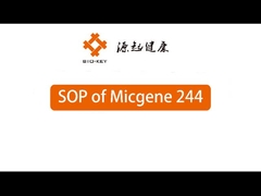POCT Máquina de PCR quantitativa em tempo real 2 / 4 canais 24 bem dispositivo de diagnóstico molecular