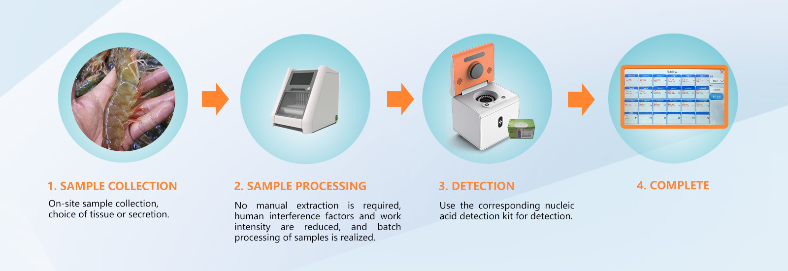 qualidade Máquina do qPCR do RT fábrica