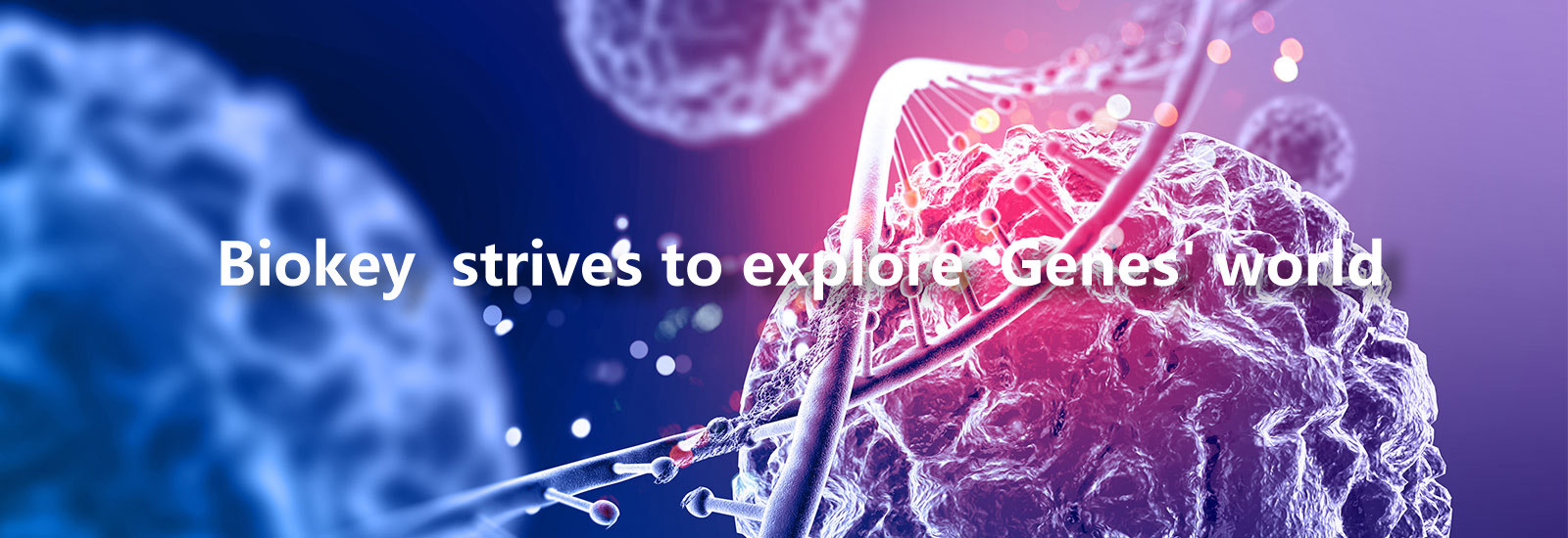 qualidade Máquina do qPCR do RT fábrica