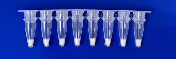 Kit de detecção de PCR em tempo real liofilizado para ingrediente de porco na amostra de género alimentício