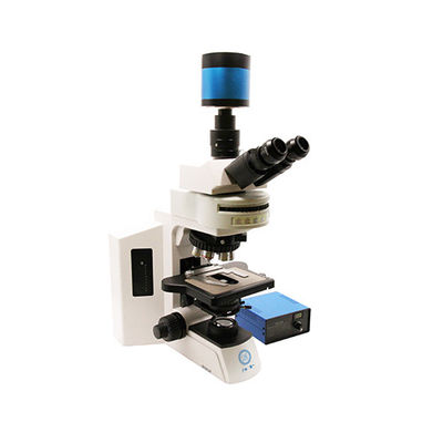 Microscópio Biológico Fluorescente Vertical B60F