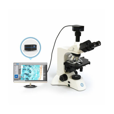 Microscópio vertical de três olhos inclinado a 30° B60