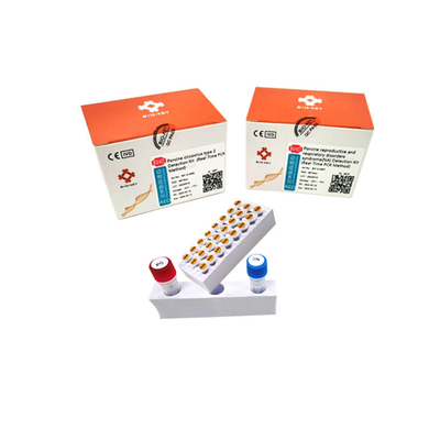 Tipo suíno de Circovirus - teste ácido nucleico Micgene do PCR do jogo suíno do teste do ADN 2