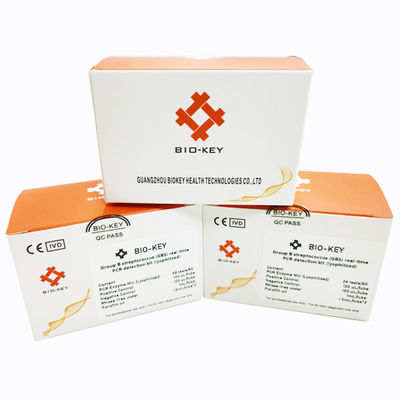 PCR Grupo B Streptococcus GBS STD STI Kit de teste