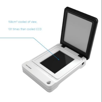 Imunoassay Sistema de Imagem Automatizado de Quimioluminescência para Análise de Proteína de Transferência de Manchas Ocidentais