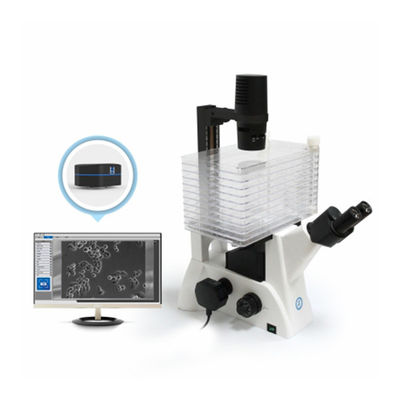 Microscópio Biológico Invertido B60iL Microscópio Especial para Observação de Fábrica de Células