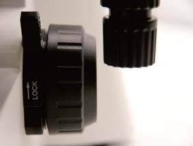 Microscópio Biológico Vertical B70 com Placa giratória Objetiva