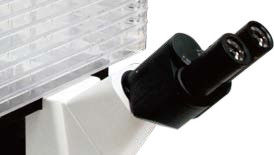 Microscópio Biológico Invertido B60iL Microscópio Especial para Observação de Fábrica de Células