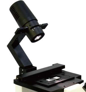 Microscópio Biológico Invertido B80iF de Projeto Atornizado para Observação de Tecido Celular