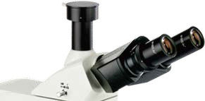 Microscópio vertical de três olhos inclinado a 30° B60