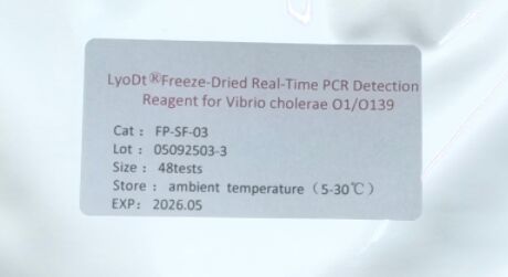 Reagente de detecção de PCR em tempo real para Vibrio cholerae O1/O139 LyoDt® liofilizado - Não é necessária cadeia de frio e pré-dispensado um único teste